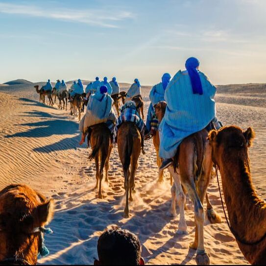 Group tour on camels through sand dunes